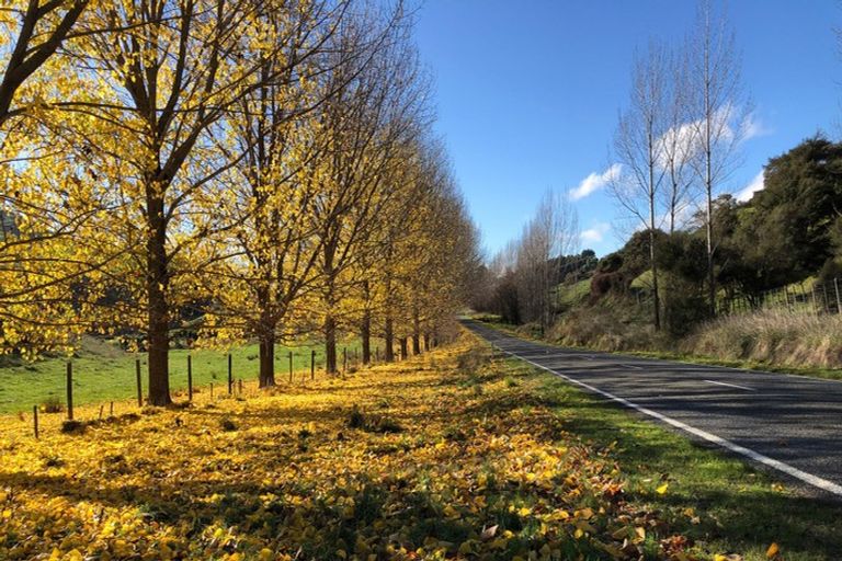 Photo of property in 360a Longbush Road, Hinakura, Masterton, 5884