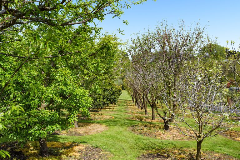 Photo of property in 19 Roger Guy Place, Welcome Bay, Tauranga, 3175