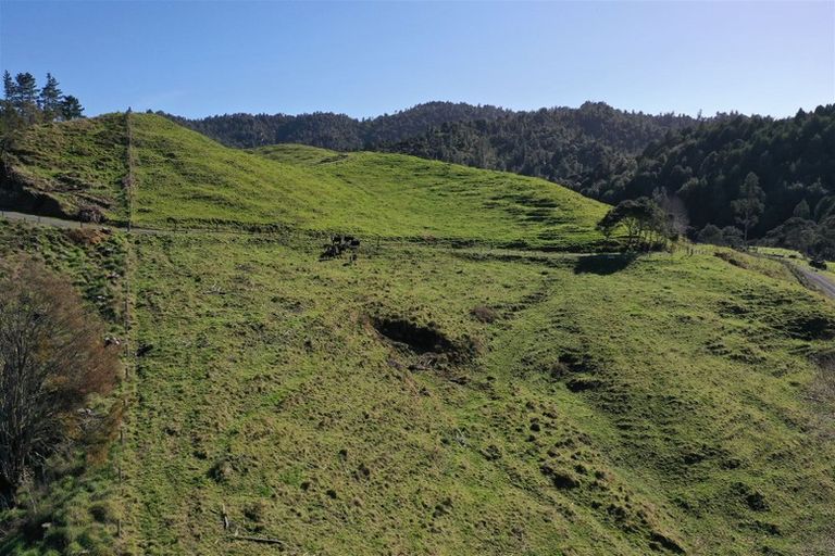 Photo of property in 128c Otonga Valley Road, Raglan, 3295