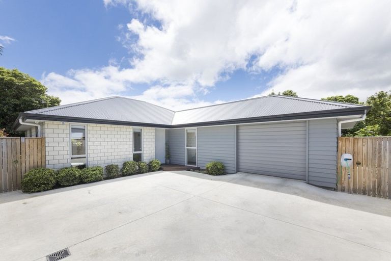 Photo of property in 31a Manson Street, Terrace End, Palmerston North, 4410
