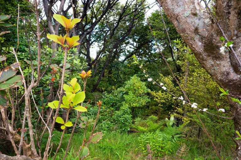 Photo of property in 162 Waiaua Road, Hihi, Mangonui, 0494