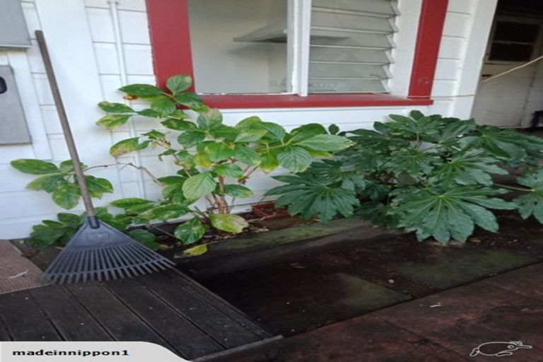 Photo of property in 51 Hawker Street, Mount Victoria, Wellington, 6011