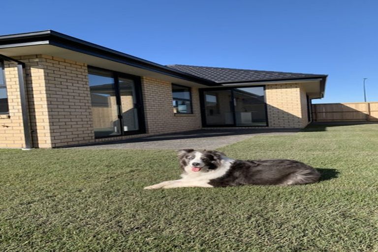 Photo of property in 38 Glovers Road, Halswell, Christchurch, 8025