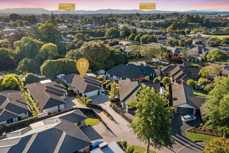 Photo of property in 17 Hansard Place, Bethlehem, Tauranga, 3110