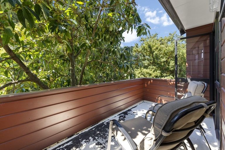 Photo of property in 16 Fraser Court, Roslyn, Palmerston North, 4414