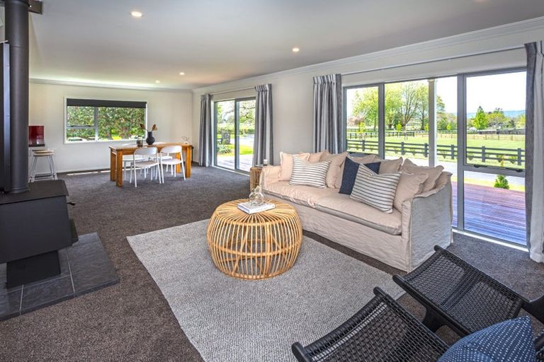 Photo of property in 173 Station Road, Matamata, 3472