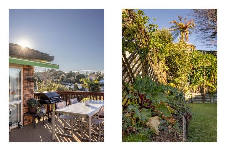 Photo of property in 3 Te Koari Drive, Brookfield, Tauranga, 3110