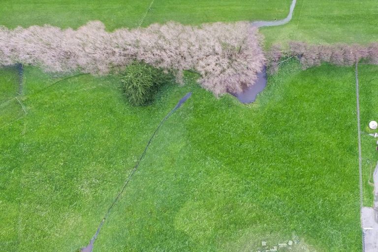 Photo of property in 17c Teal Avenue, Feilding, 4775