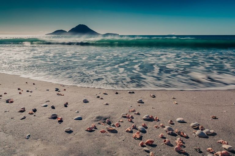 Photo of property in 41 Omega Place, Coastlands, Whakatane, 3120