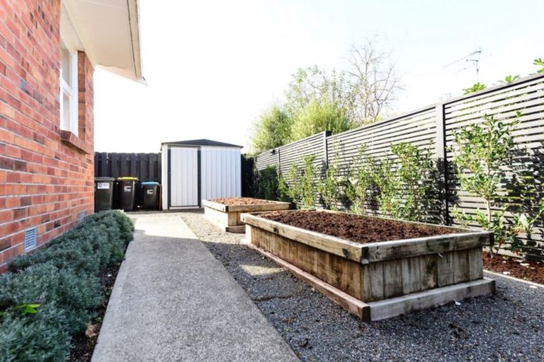 Photo of property in 48 Scott Street, Leamington, Cambridge, 3432