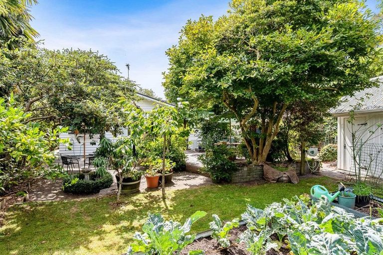 Photo of property in 10 Rata Street, Waikanae, 5036