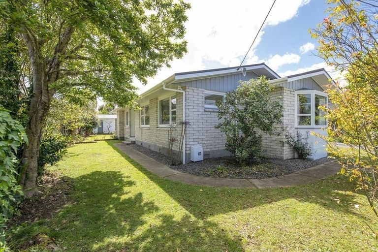 Photo of property in 59 Macarthur Street, Levin, 5510