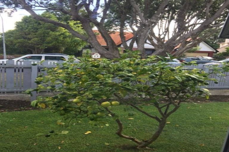 Photo of property in 52 Queens Grove, Hutt Central, Lower Hutt, 5010