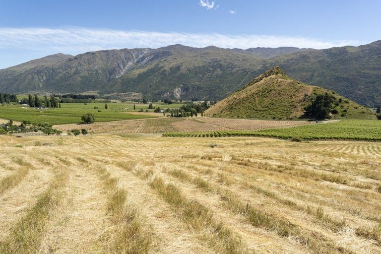 Photo of property in 55b Gibbston Back Road, Gibbston, Queenstown, 9371