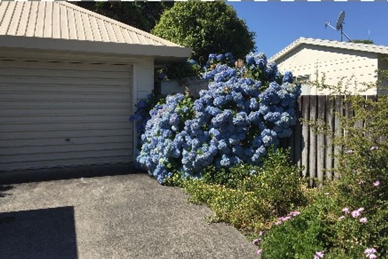 Photo of property in 98 Dominion Road, Nawton, Hamilton, 3200