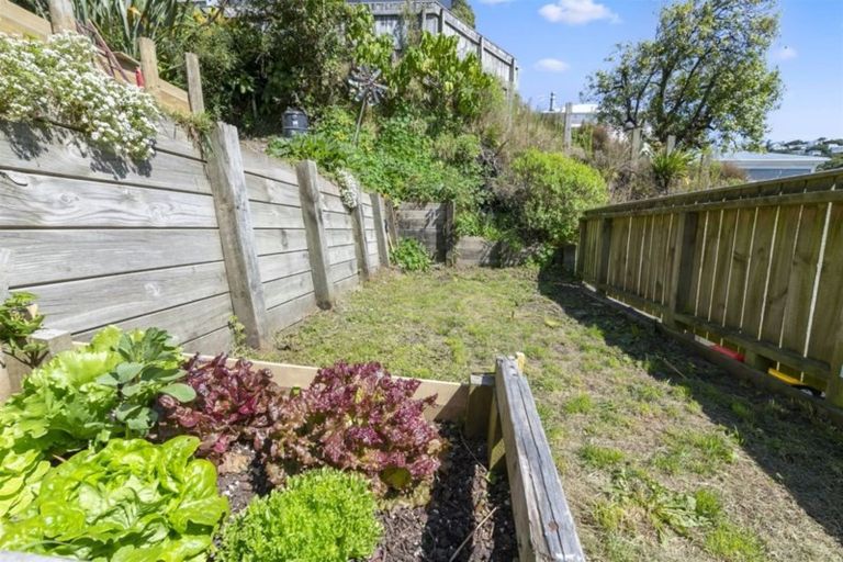 Photo of property in 167 Aro Street, Aro Valley, Wellington, 6021