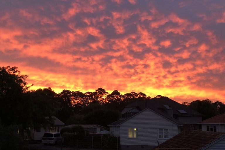 Photo of property in 3 Dillon Place, Hamilton East, Hamilton, 3216