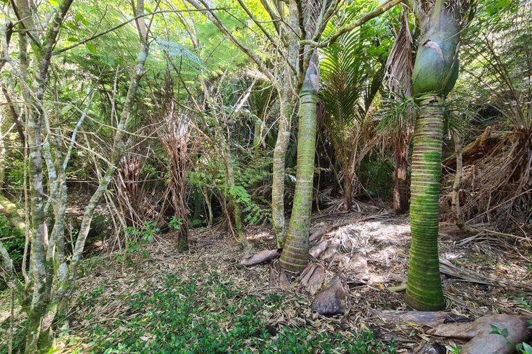 Photo of property in 110 Wood Road, Colville, Coromandel, 3584