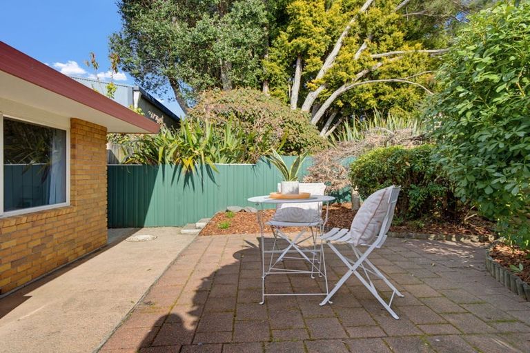 Photo of property in 6 Racecourse Way, Gate Pa, Tauranga, 3112