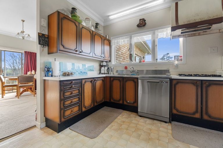 Photo of property in 225 Waotu Road, Putaruru, 3481