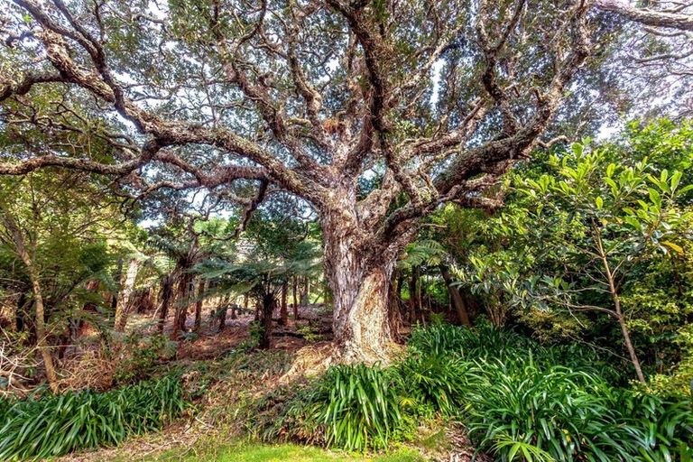 Photo of property in 20 Tutaritari Road, Hahei, Whitianga, 3591