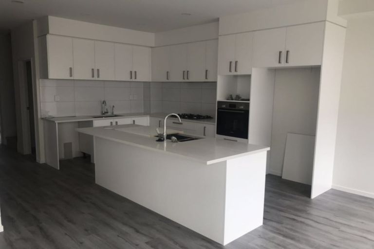 Photo of property in 10 Ti Kouka Lane, Sandringham, Auckland, 1025