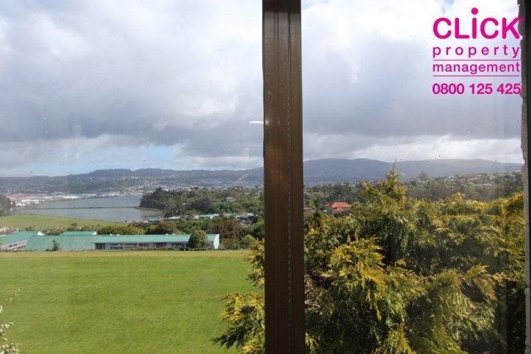 Photo of property in 77 Highcliff Road, Andersons Bay, Dunedin, 9013