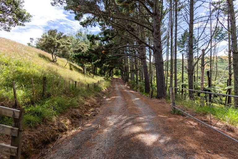 Photo of property in 38b Pipitiwai Drive, Helensville, Kaukapakapa, 0871