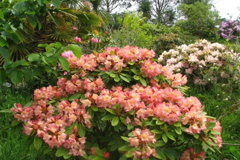 Photo of property in 3/430 Cape Foulwind Road, Carters Beach, Westport, 7892