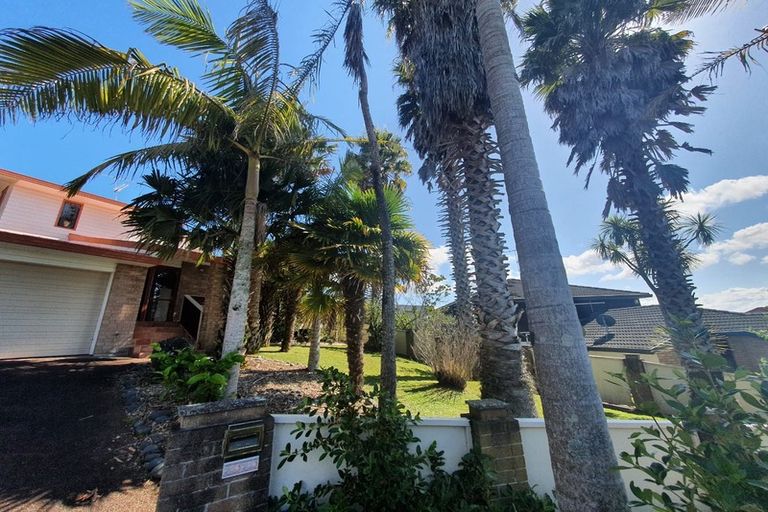 Photo of property in 45 Tenbless Court, Unsworth Heights, Auckland, 0632