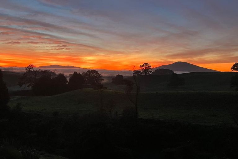 Photo of property in 183 Te Tahi Road, Puketotara, Te Awamutu, 3876