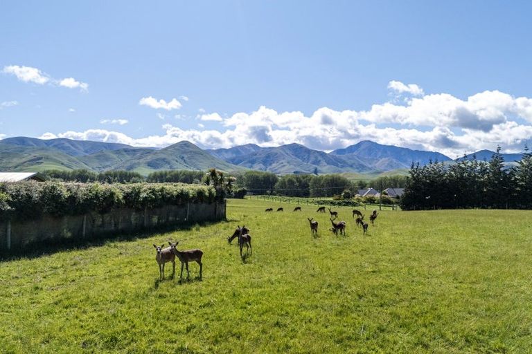 Photo of property in 80 Butlers Road, Fairlie, 7987