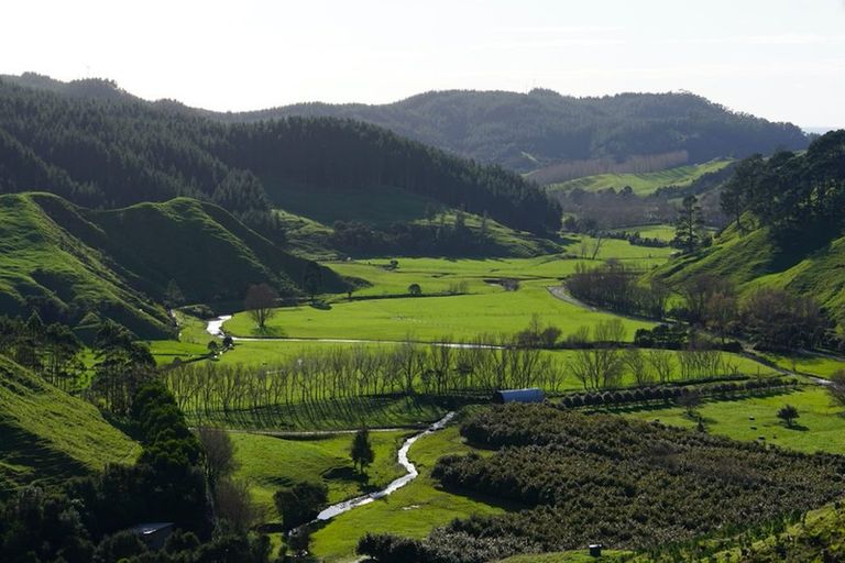 Photo of property in 388 Wentworth Valley Road, Whangamata, 3691