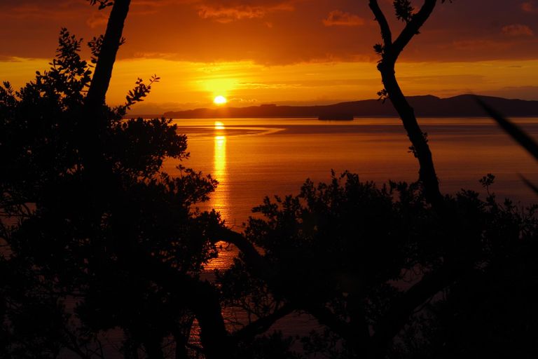 Photo of property in 59 Fidelis Avenue, Snells Beach, 0920