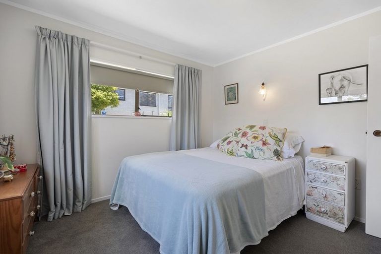 Photo of property in 217b Valley Road, Mount Maunganui, 3116