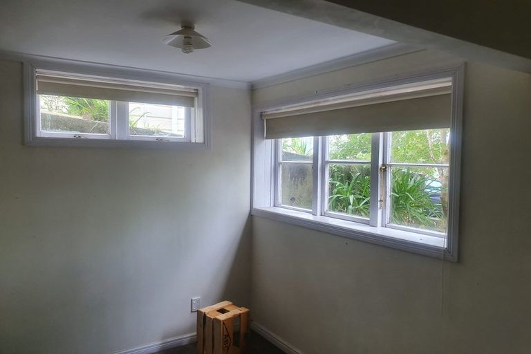Photo of property in 35 Alexander Street, Kingsland, Auckland, 1021
