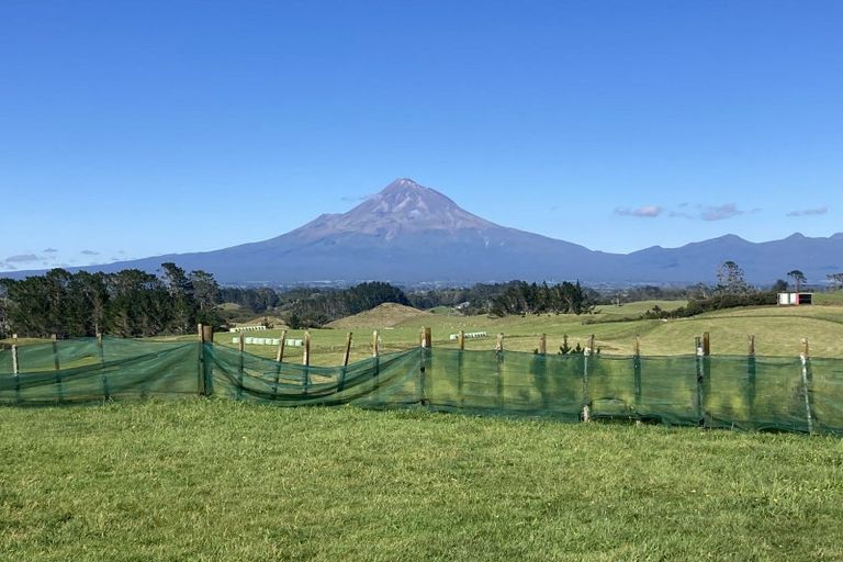 Photo of property in 254 Lincoln Road, Inglewood, 4389