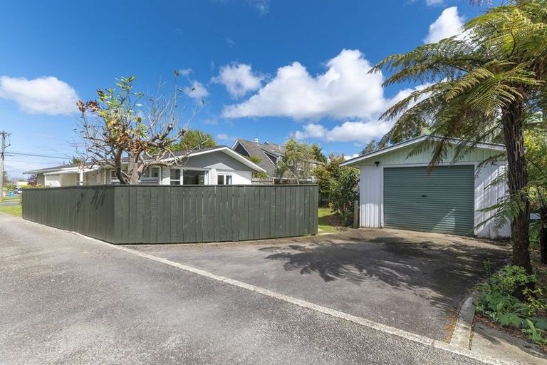 Photo of property in 59 Macarthur Street, Levin, 5510