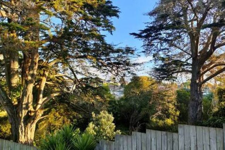 Photo of property in 48 Williams Crescent, Otara, Auckland, 2023