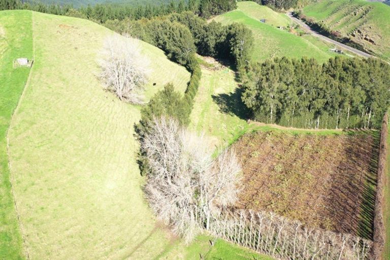 Photo of property in 809 Pikowai Road, Pikowai, Whakatane, 3194