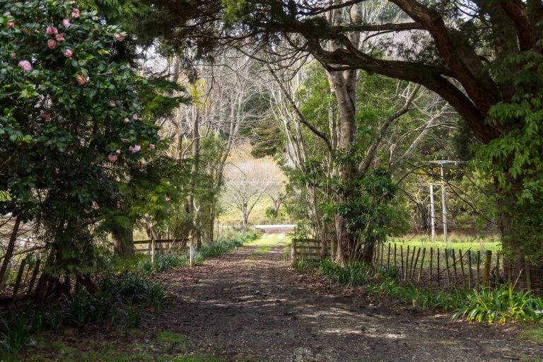 Photo of property in 427 Tinui Valley Road, Tinui Valley, Tinui, 5894