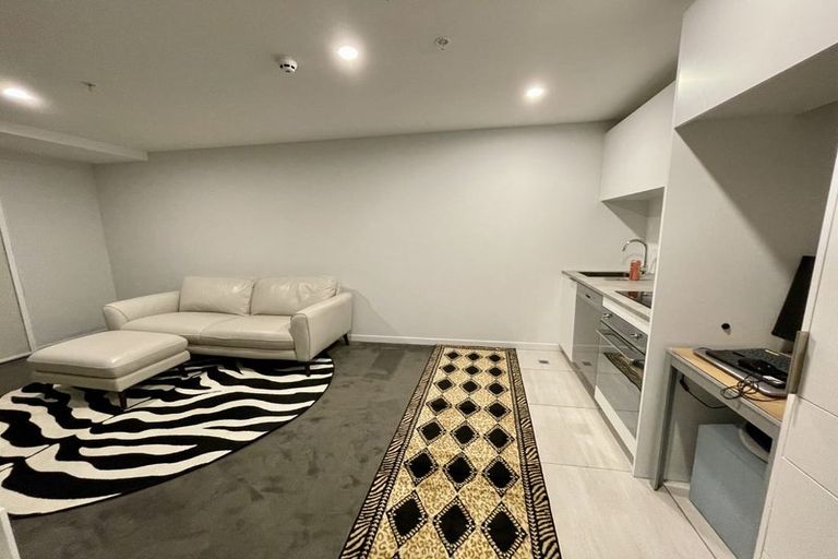 Photo of property in Pinnacle Apartments, E104/160 Victoria Street, Te Aro, Wellington, 6011