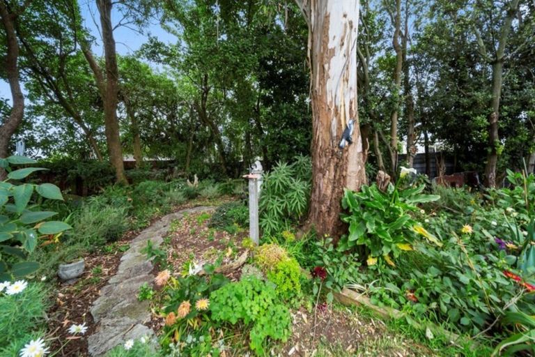 Photo of property in 58 Terou Street, Manaia, 4612