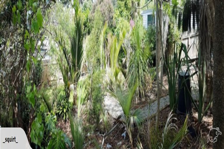 Photo of property in 13 Tavistock Road, Melrose, Wellington, 6023