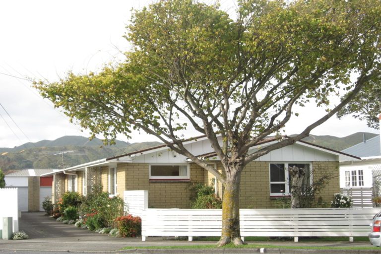 Photo of property in 1/144 Kings Crescent, Hutt Central, Lower Hutt, 5010