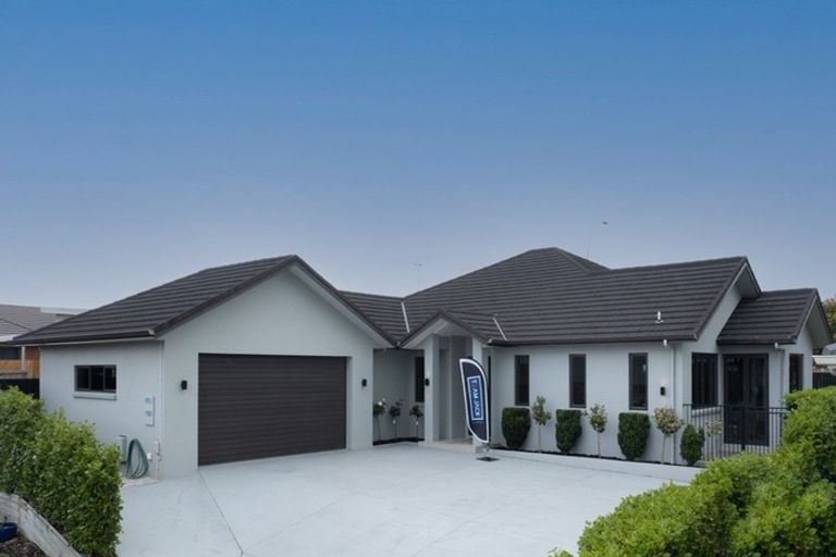 Photo of property in 14 Amberley Place, Flagstaff, Hamilton, 3210