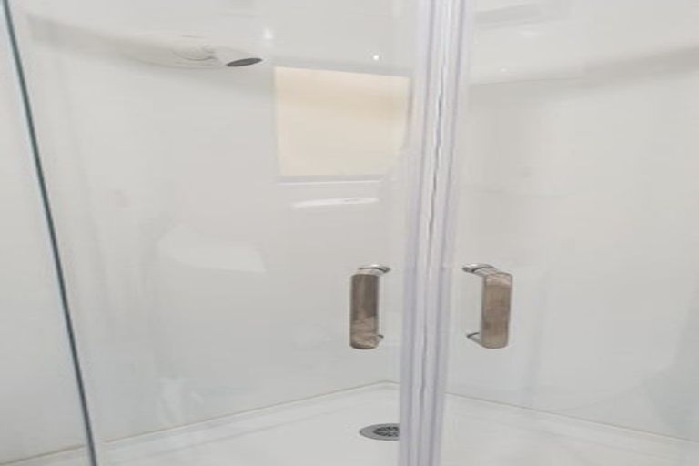 Photo of property in 14 Duddingstone Steps, North East Valley, Dunedin, 9010