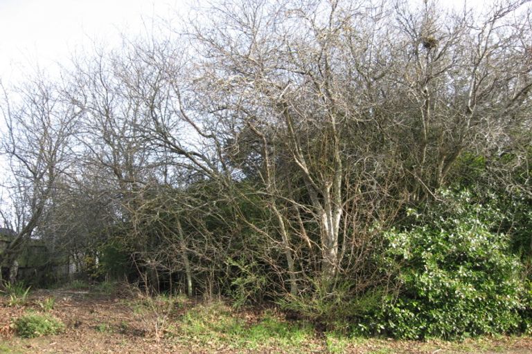 Photo of property in 93 Thomas Street, Waikouaiti, 9510