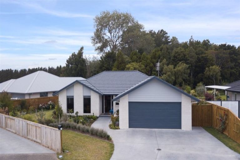 Photo of property in 14 Nolan Place, Katikati, 3129