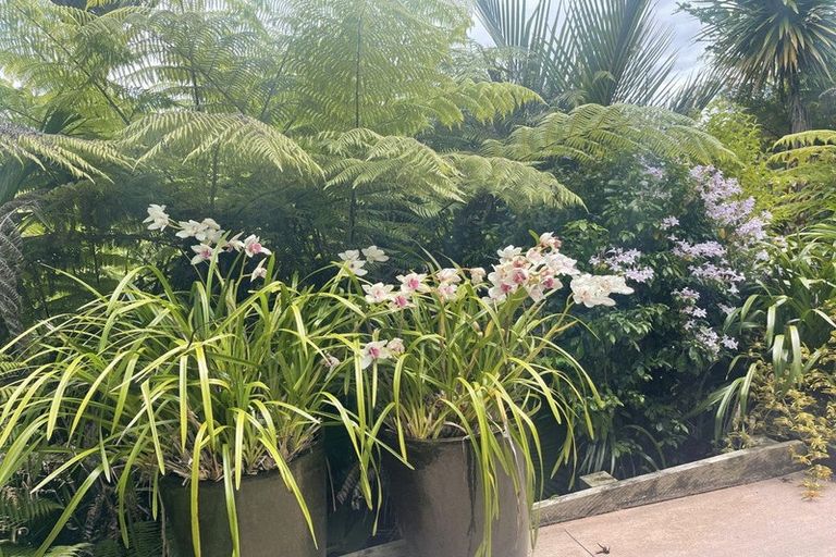 Photo of property in 287 Glenvar Road, Long Bay, Auckland, 0630